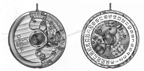 omega movement database.